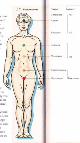 Расположение чакр на теле человека S3008894